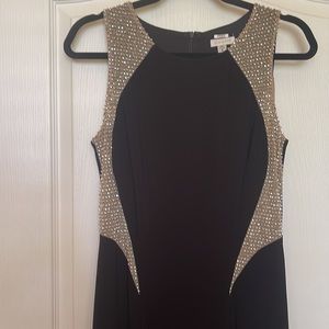Cache womens dress size 8